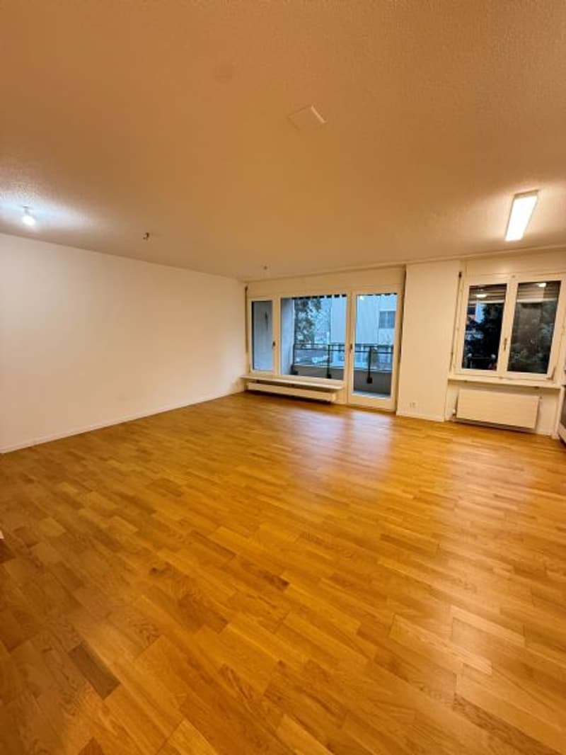 Appartement 2 pièces totalement rénové (3)