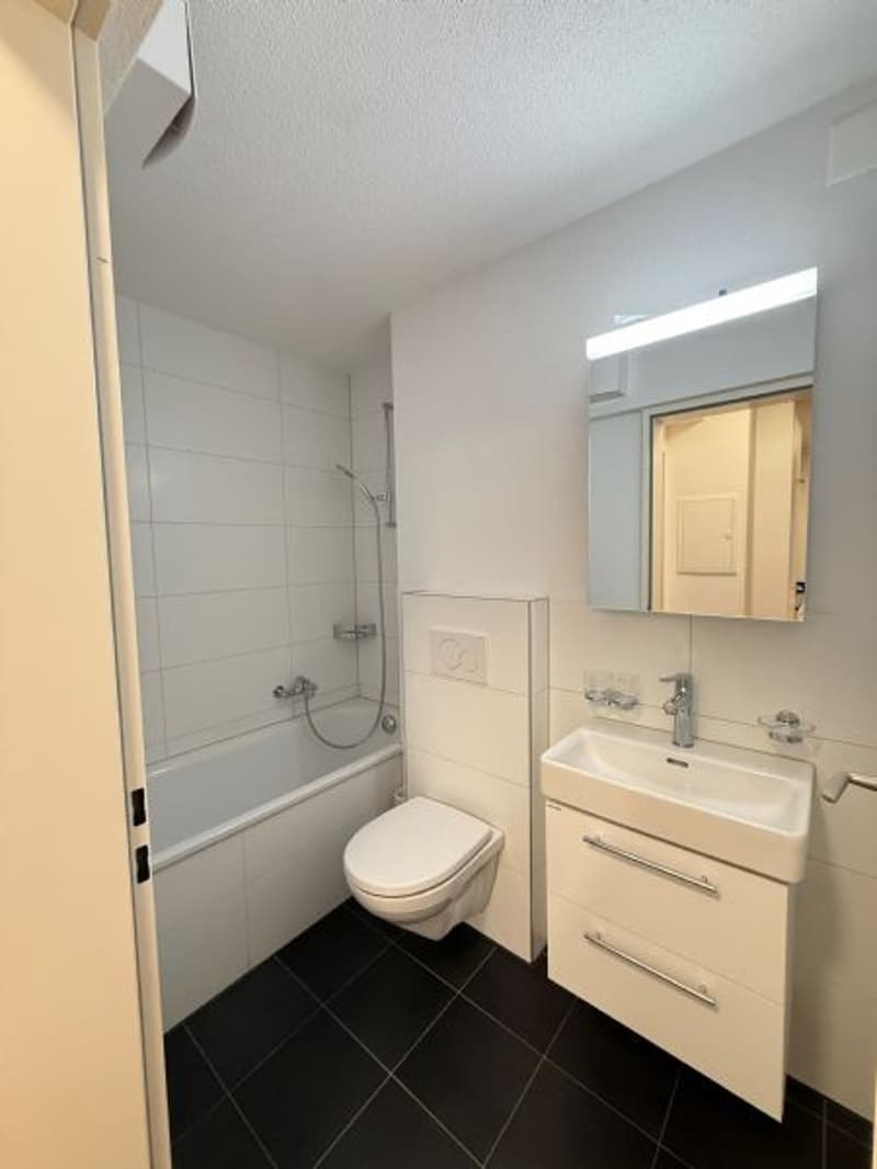 Appartement 2 pièces totalement rénové (5)