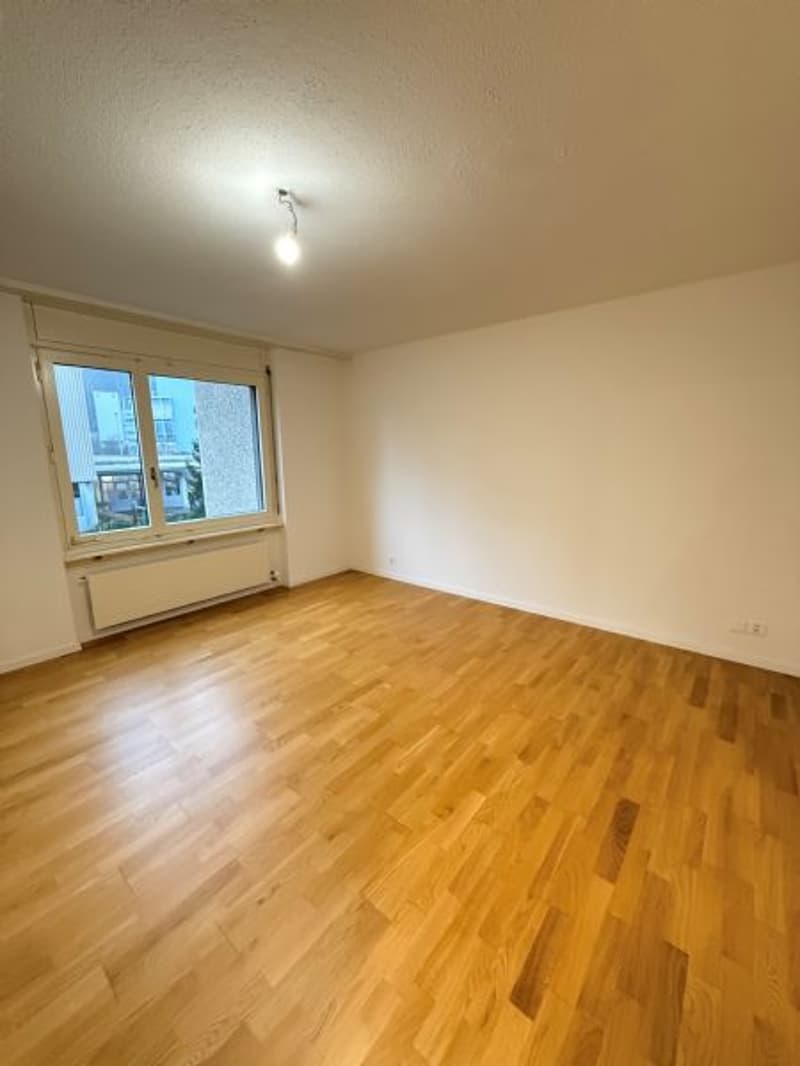 Appartement 2 pièces totalement rénové (4)
