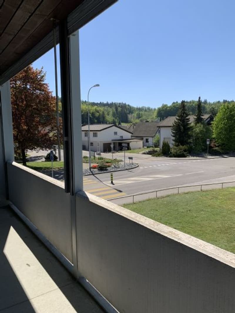 Appartement lumineux et spacieux de 3 pièces dans un endroit calme avec un grand balcon (6)