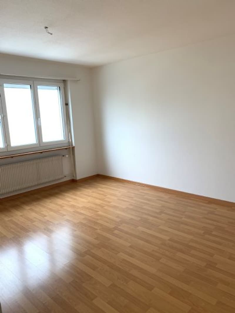 Appartement lumineux et spacieux de 3 pièces dans un endroit calme avec un grand balcon (4)