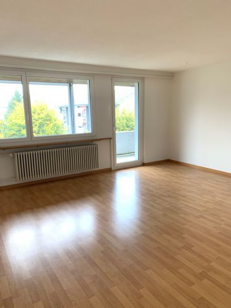 Appartement lumineux et spacieux de 3 pièces dans un endroit calme avec un grand balcon (3)