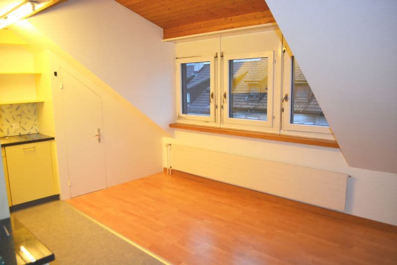 Appartement en duplex de 2,5 pièces à proximité de la gare (3)