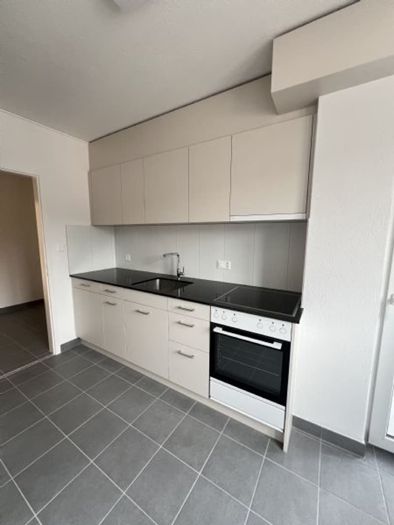 Renovated 6-room apartment for rent in a good location (2)