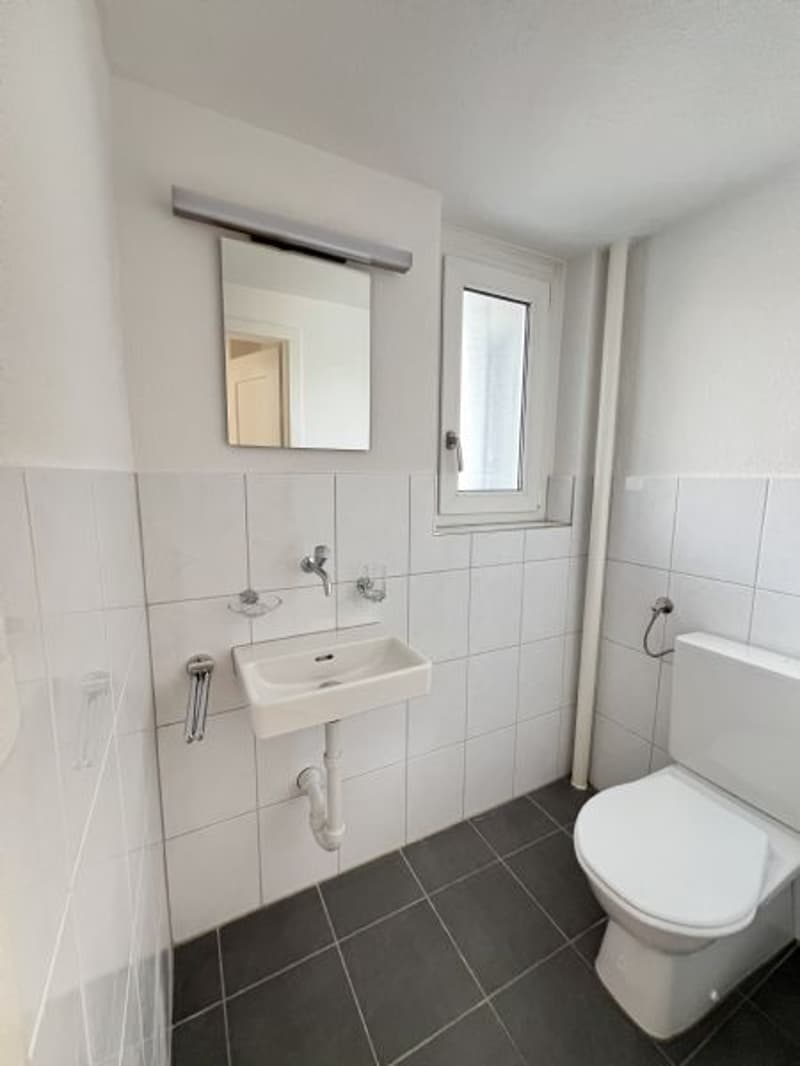 Renovated 6-room apartment for rent in a good location (11)