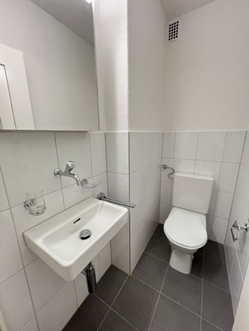 Renovated 6-room apartment for rent in a good location (10)