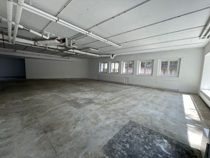 Espace commercial polyvalent de 206 m² à Olten (2)