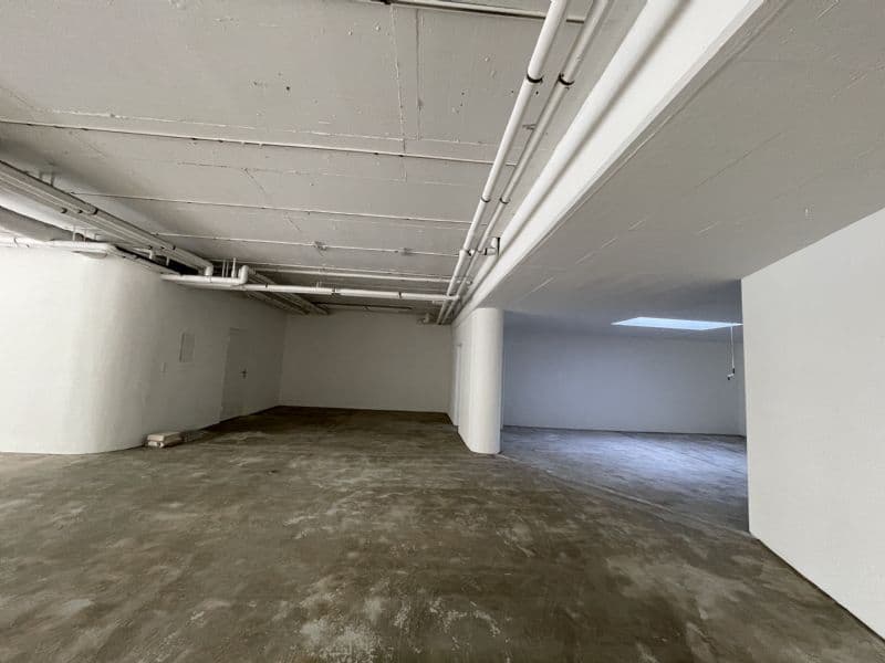 Espace commercial polyvalent de 206 m² à Olten (5)