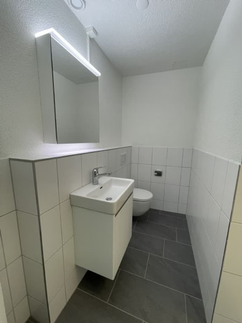 Espace commercial polyvalent de 206 m² à Olten (3)