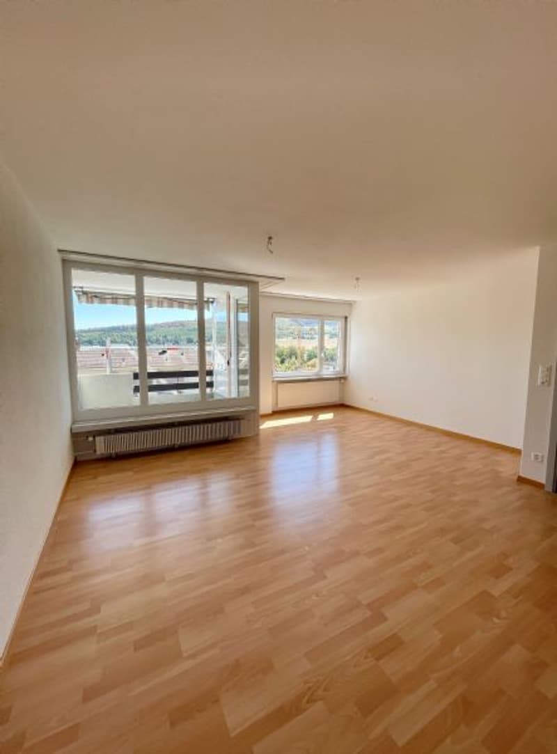 4.5 Zimmerwohnung mit Weitsicht komplett saniert (8)