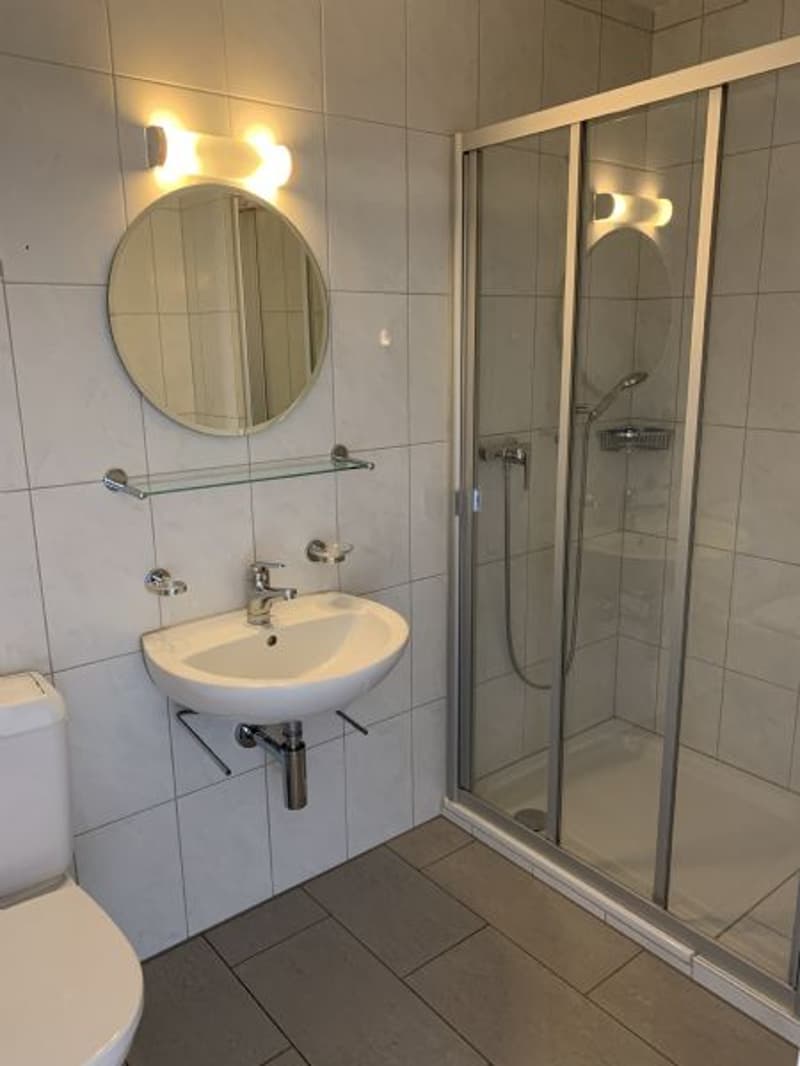 Helle 4.5 Zimmerwohnung zu vermieten (9)