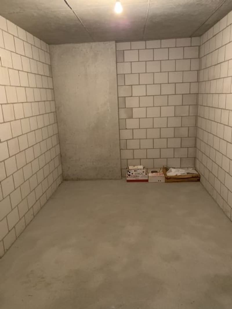 Helle 4.5 Zimmerwohnung zu vermieten (10)