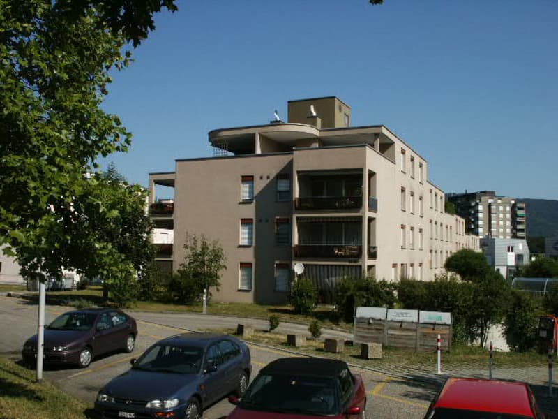 Attika-Wohnung mit Cheminée und mega Aussicht (13)