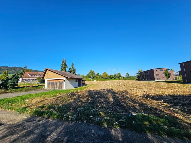 a single house surrounded by a large field with trees, mountains and clear blue sky in the distance