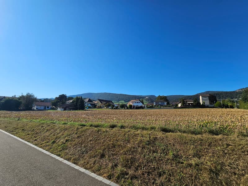 Large field with some houses and a few trees in the background, hills and a clear blue sky in the distance