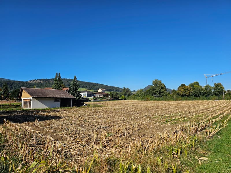 large barren field, small house in the background, trees and mountains in the distance