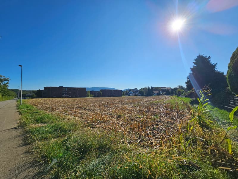 large buildings in the background, large open field in the foreground, and grass