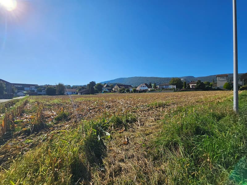 wide field with green grass, dried fields in the middle, houses in the background, mountains in the background