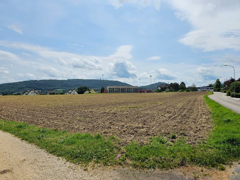 large farm land, dry soil, street with grass and streetlights, residential buildings, hills in the background, blue sky with clouds