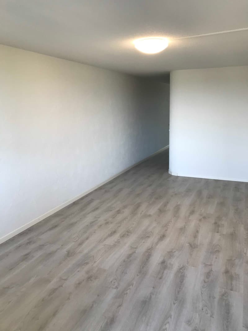 empty room, white walls, gray wooden floor, ceiling light