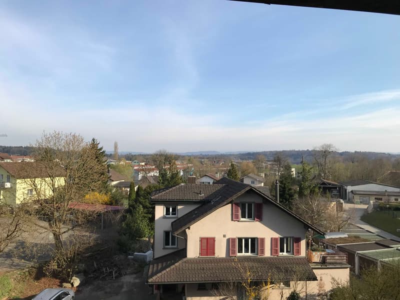 Large two story house, red shutters, brown roof, trees, house next door, mountain range