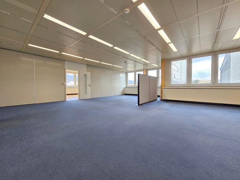empty room, blue carpet, white walls, large windows, ceiling lights