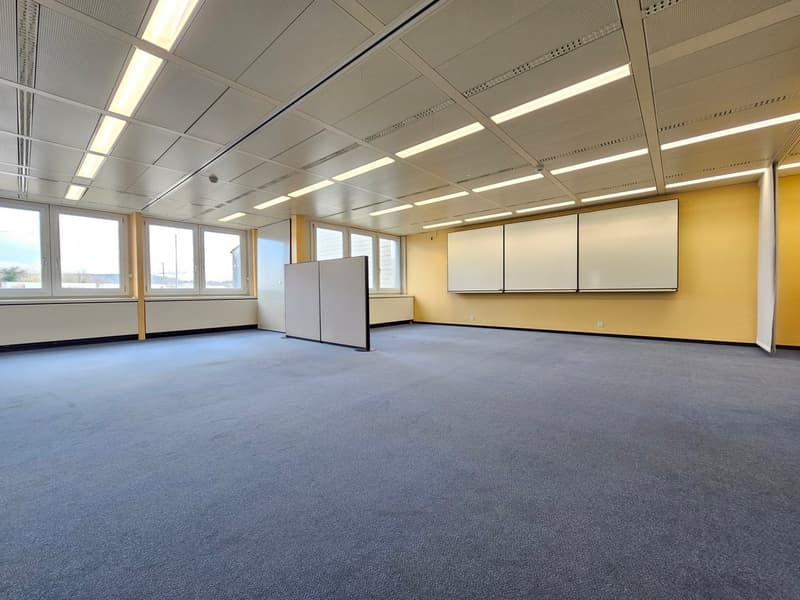 empty room, blue carpet, yellow walls, white ceiling, windows, movable partition