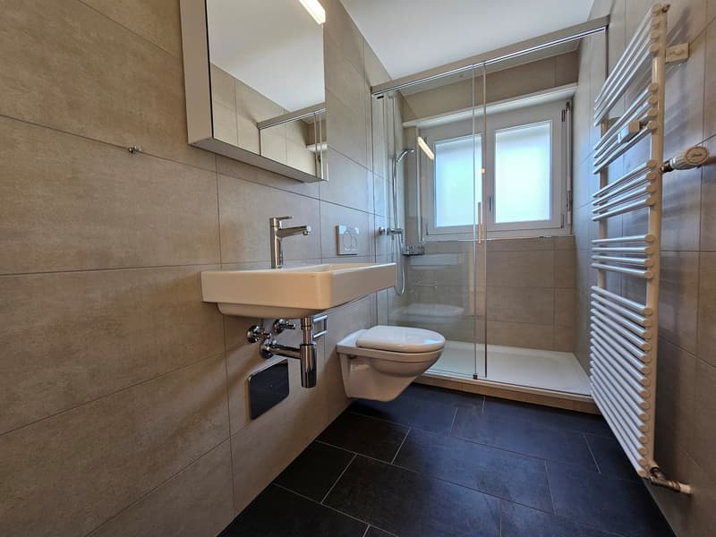 Badezimmer mit Dusche, WC und Lavabo