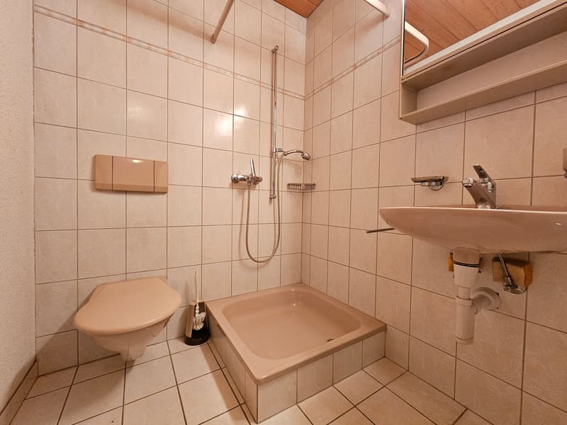 Sep. WC mit Dusche UG