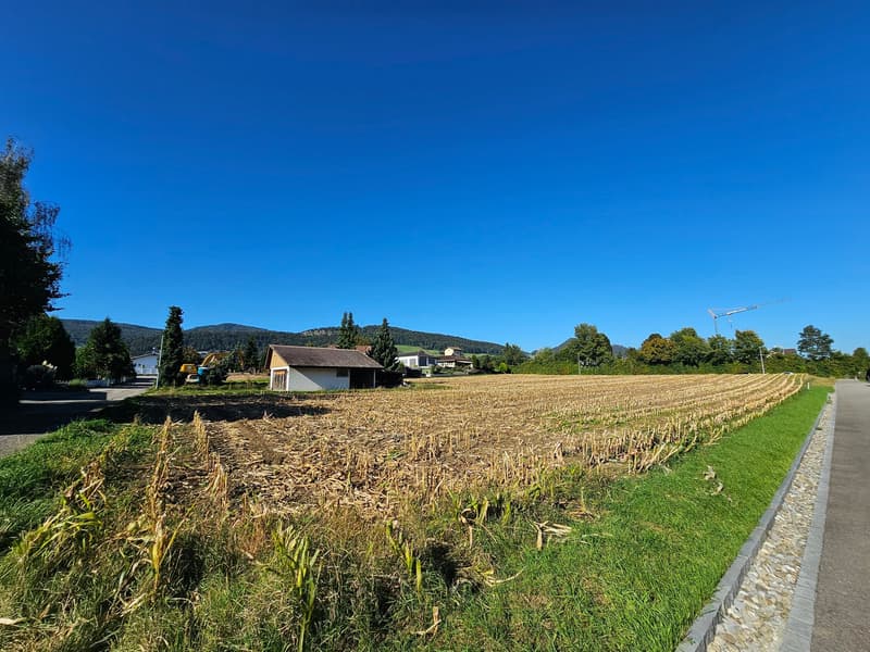 Ansicht Süd-West