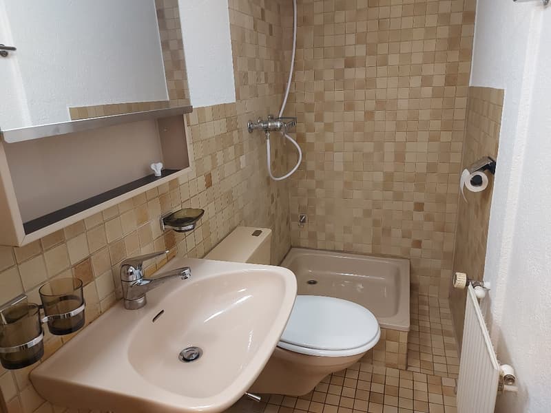 Bad mit Dusche, Lavabo und WC Studiowohnung EG