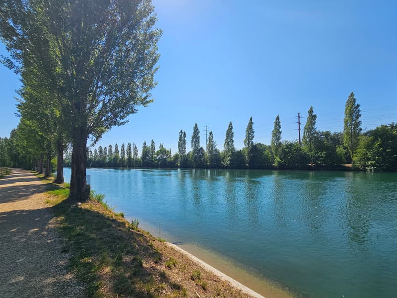 Naherholungsgebiet / Aarekanal