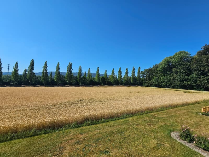 Aussicht
