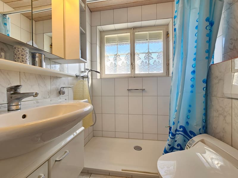 Bad mit Dusche, WC, Lavabo und Fenster
