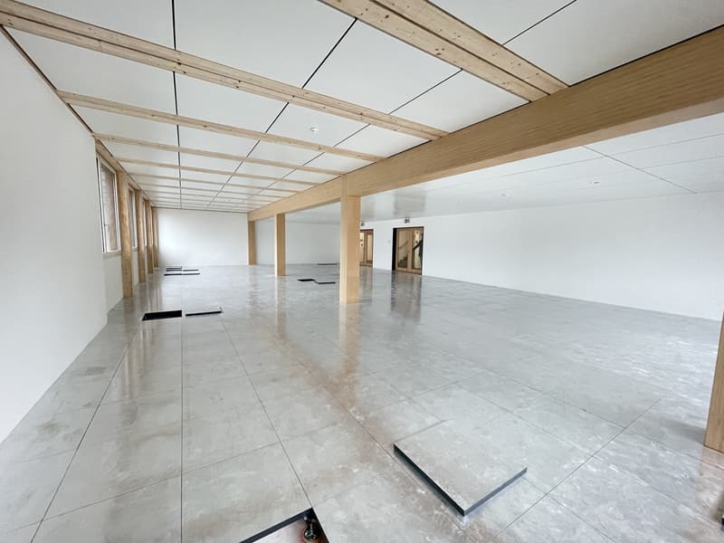 First rental of spacious and modern commercial space in raw construction (3)
