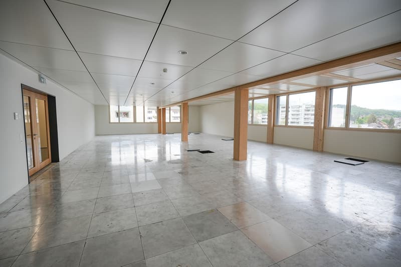 First rental of spacious and modern commercial space in raw construction (4)