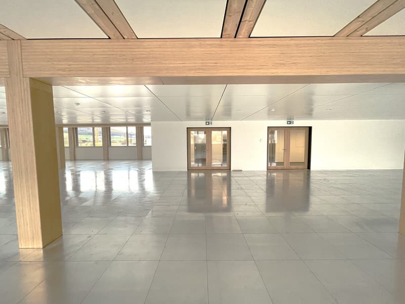 Premier location d'un espace commercial spacieux et moderne en construction brute (4)