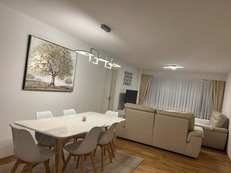 Moderne 4.5-Zimmer-Wohnung in Niederbipp zu vermieten (4)