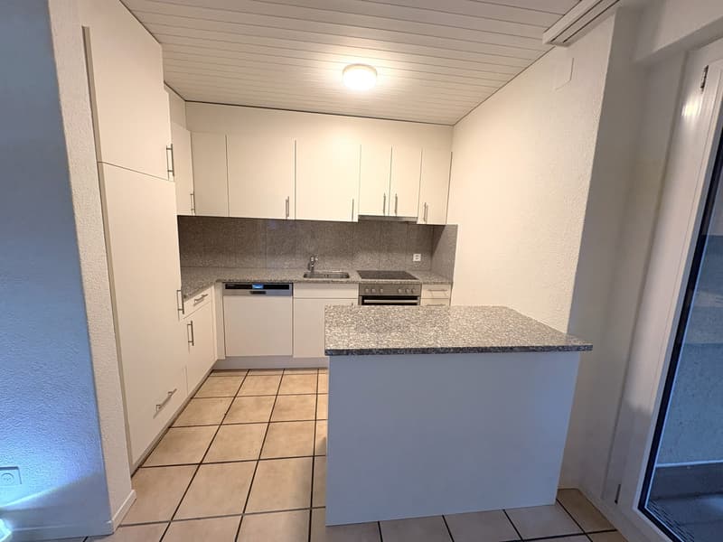 Bello e spazioso appartamento di 4,5 locali al 2° piano di una casa di 6 famiglie ben curata (7)