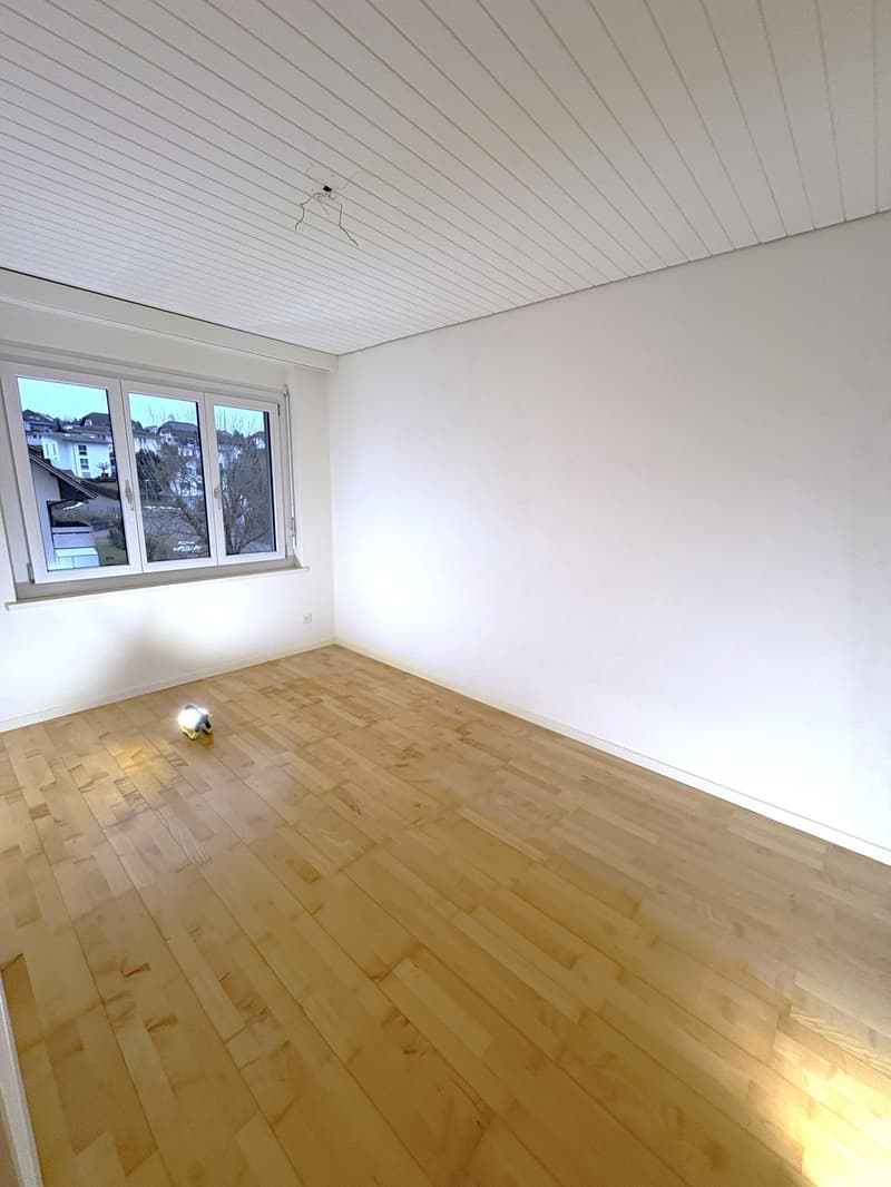 Bello e spazioso appartamento di 4,5 locali al 2° piano di una casa di 6 famiglie ben curata (11)