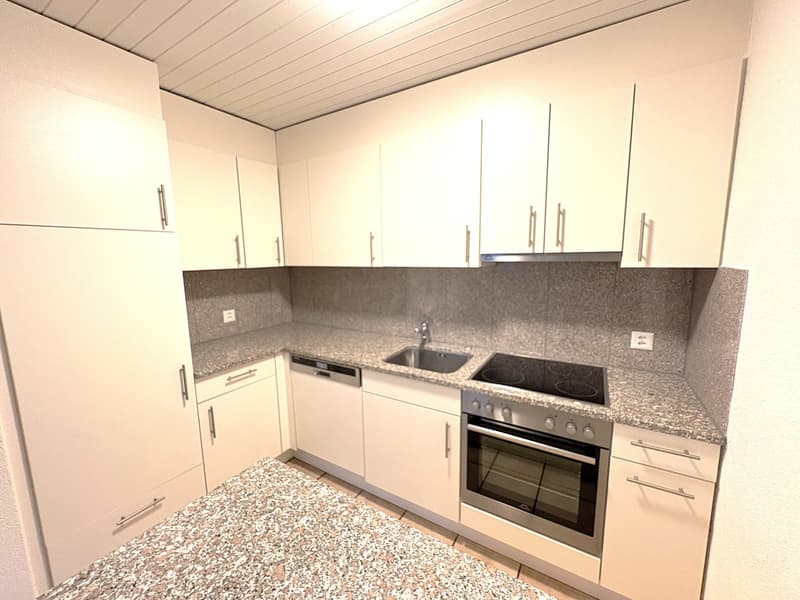 Bello e spazioso appartamento di 4,5 locali al 2° piano di una casa di 6 famiglie ben curata (8)