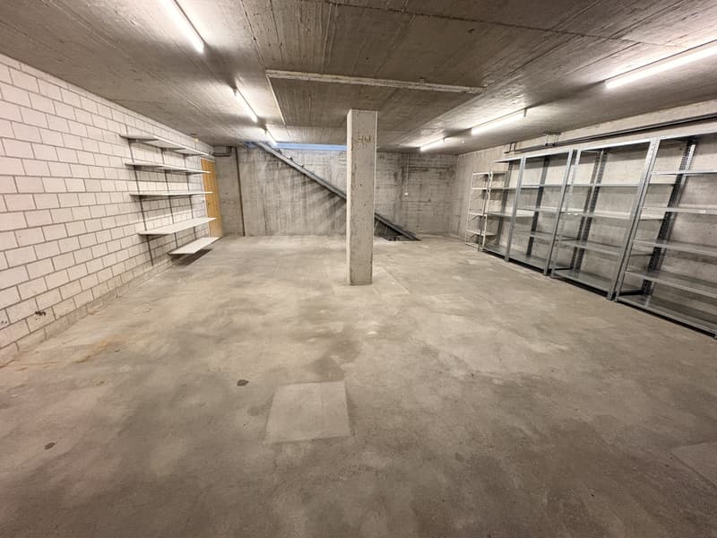 Attraktive Ladenfläche mit Lager an zentraler Lage in Oensingen (11)