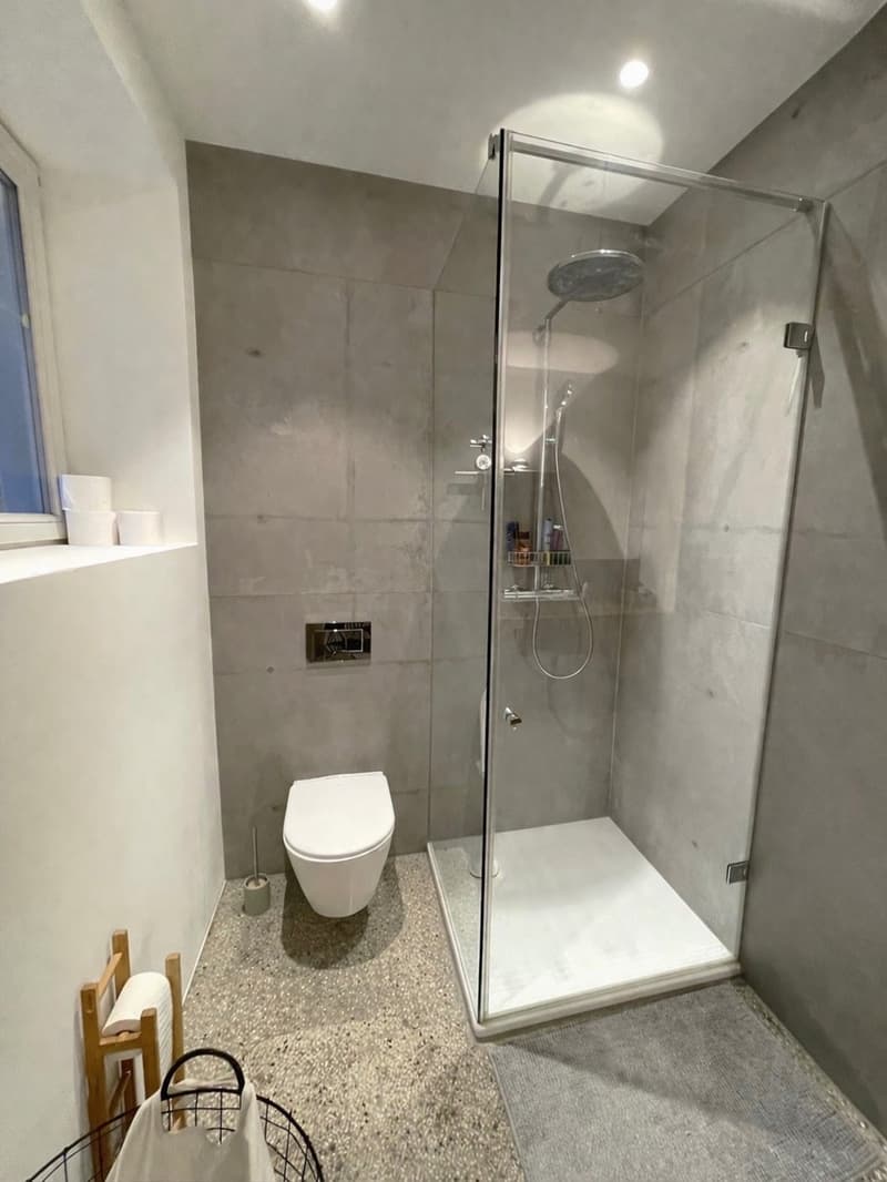 1.5-room loft apartment in the city center of Olten (10)