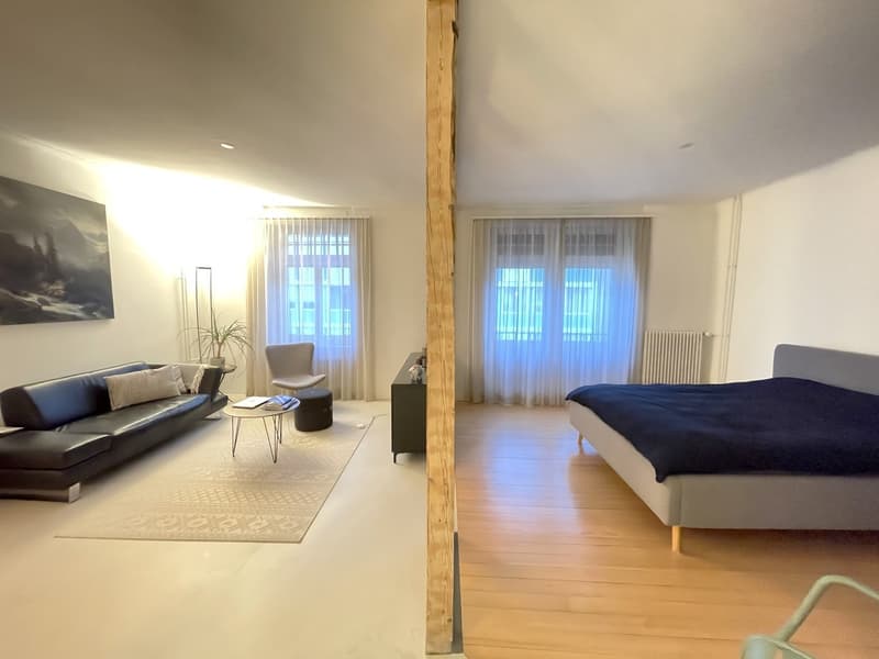 1.5-room loft apartment in the city center of Olten (6)