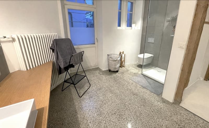 1.5-room loft apartment in the city center of Olten (8)