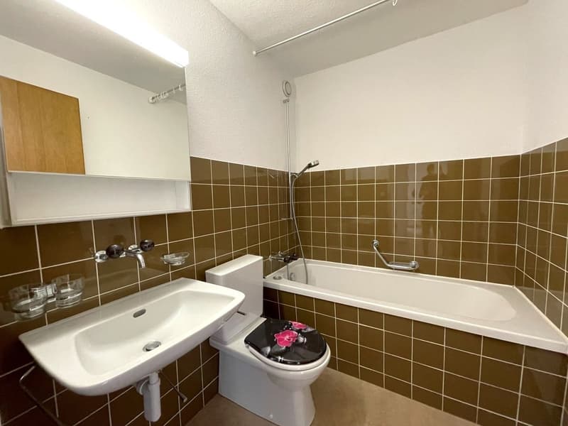 4.5-Room Apartment in Oensingen (5)