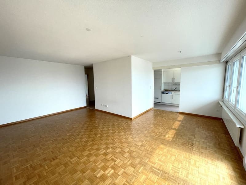 4.5-Room Apartment in Oensingen (10)