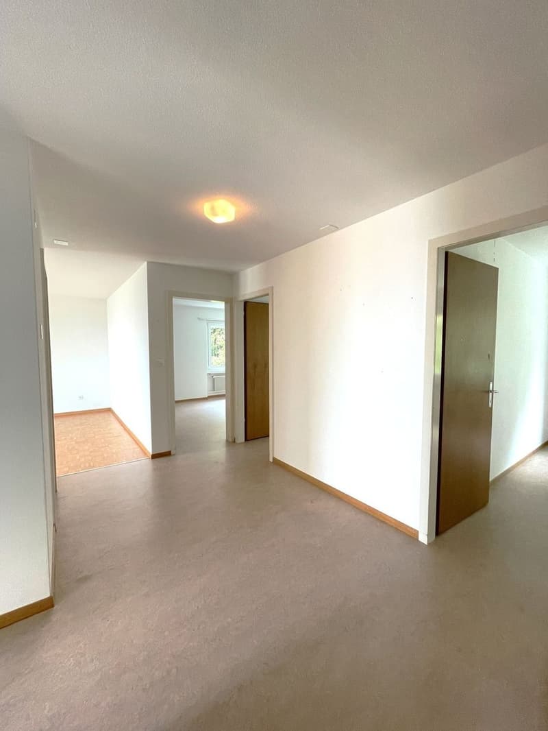 4.5-Room Apartment in Oensingen (4)
