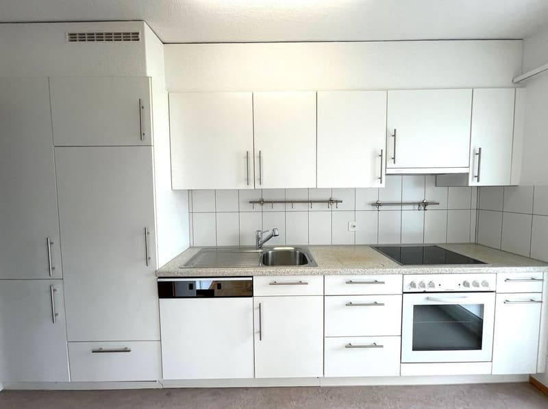 4.5-Room Apartment in Oensingen (7)
