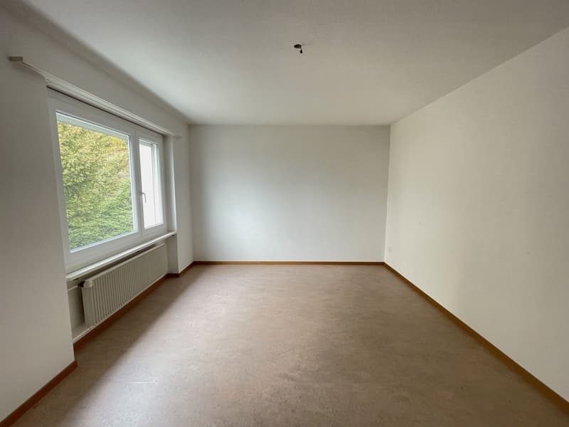 4.5-Room Apartment in Oensingen (3)